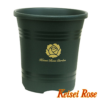 フラワーポット・鉢】京成バラ園オリジナルローズポット 10号（5鉢