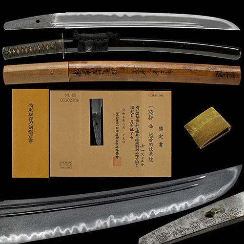 兼植 脇差 特別保存刀剣 ｜日本刀販売は永楽堂
