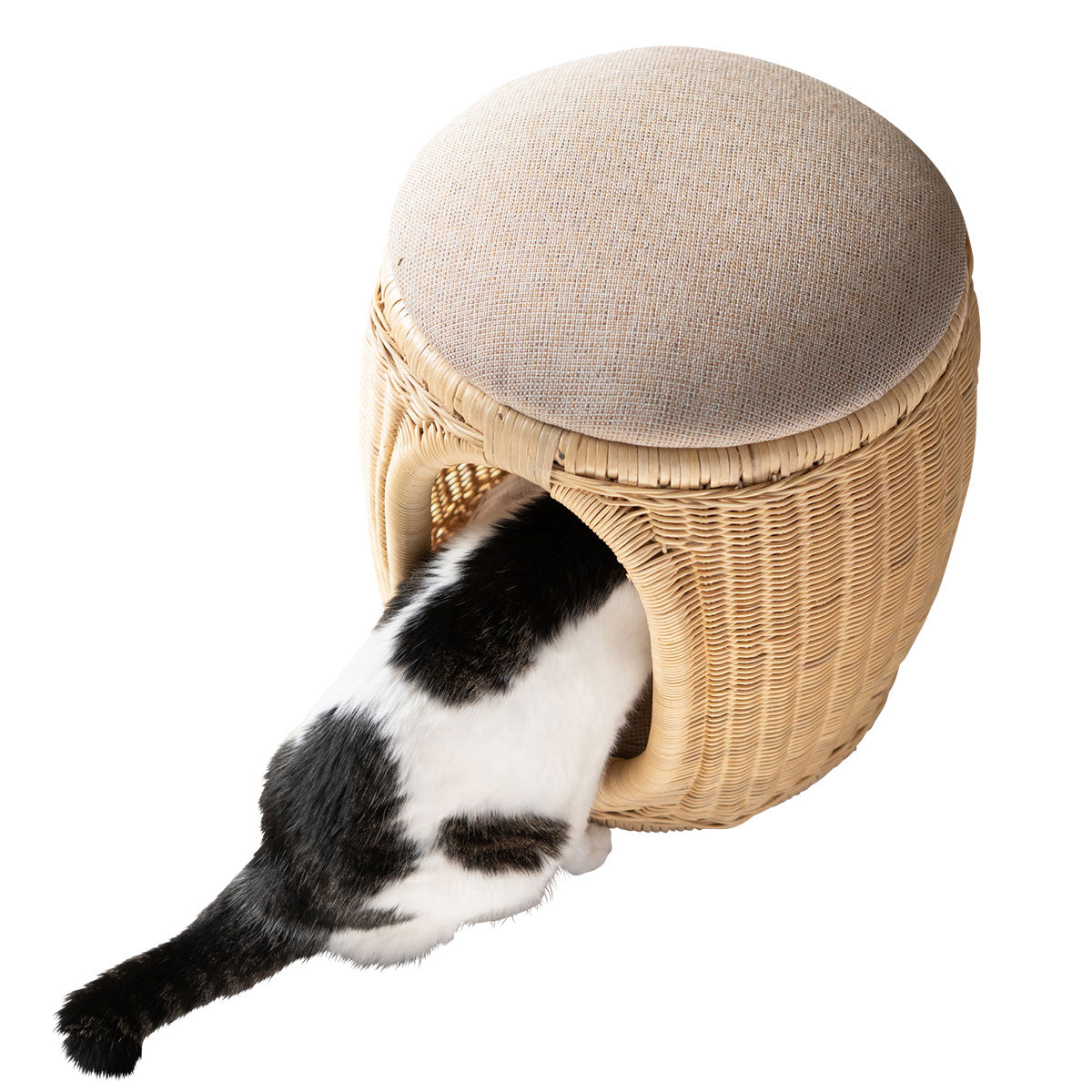 ラタンのスツール＆キャットベッド 猫用ベッド ペットベッド 自然と