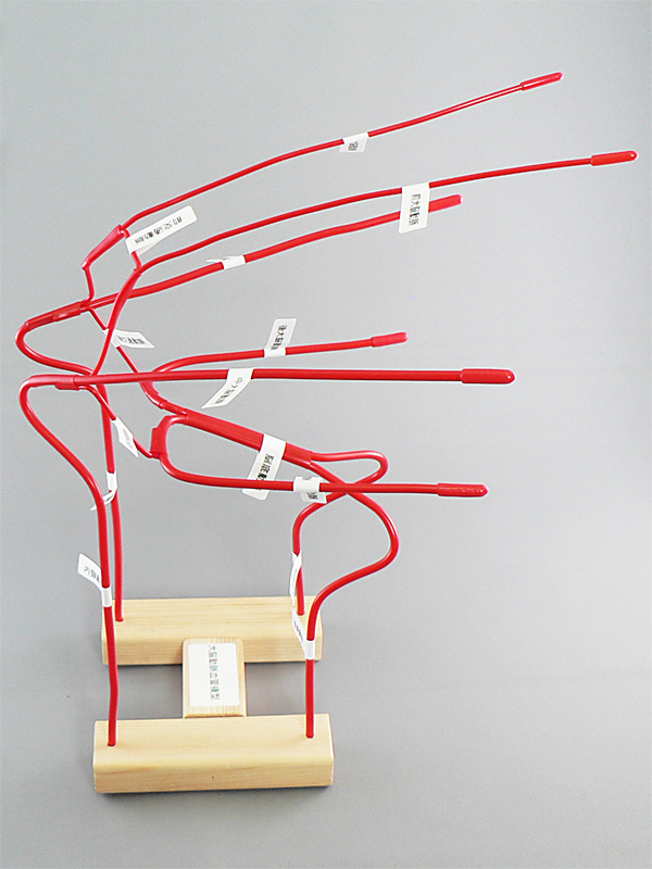 脳血管模型　教育説明用（脳血管模型が必要な人のために） 脳血管模型 教育説明用（脳血管模型が必要な人のために）