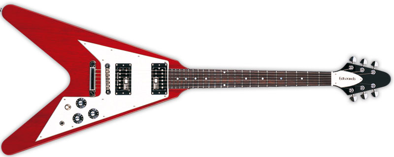 ESP | EDWARDS | E-FV-120D