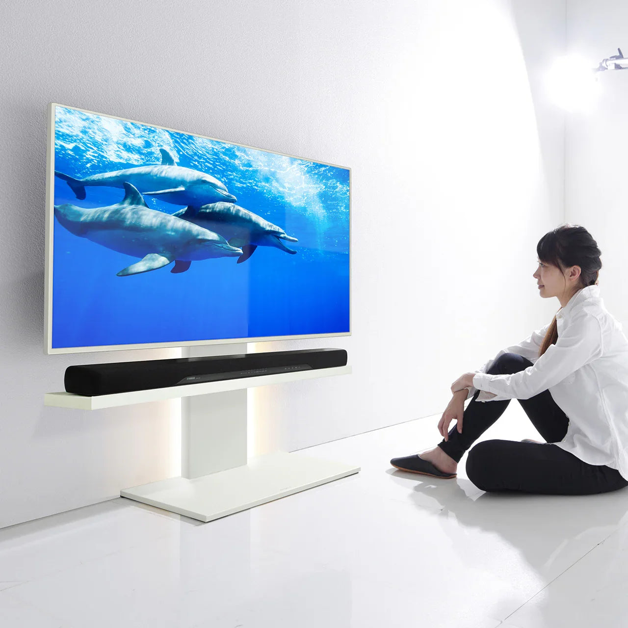 WALL INTERIOR TVSTAND V2