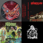 MANGLED TORSOS - Drawings Of The Dead DLP | MANGLED TORSOS