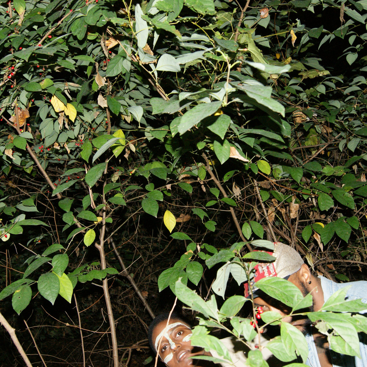 darkskinmanson | JPEGMAFIA