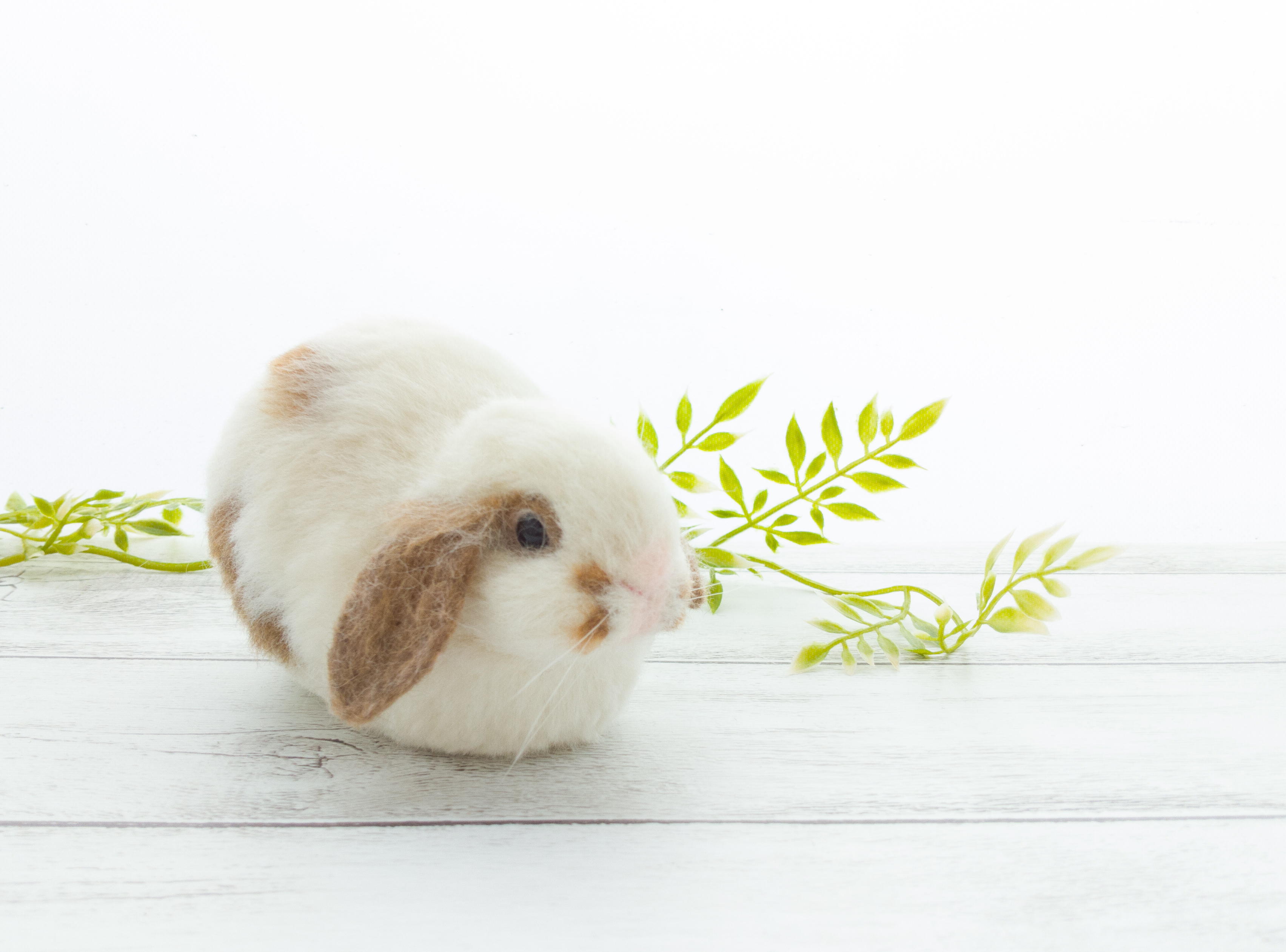 1回完結レッスン】リアルうさぎの作り方②（ロップイヤー） | FANTIST