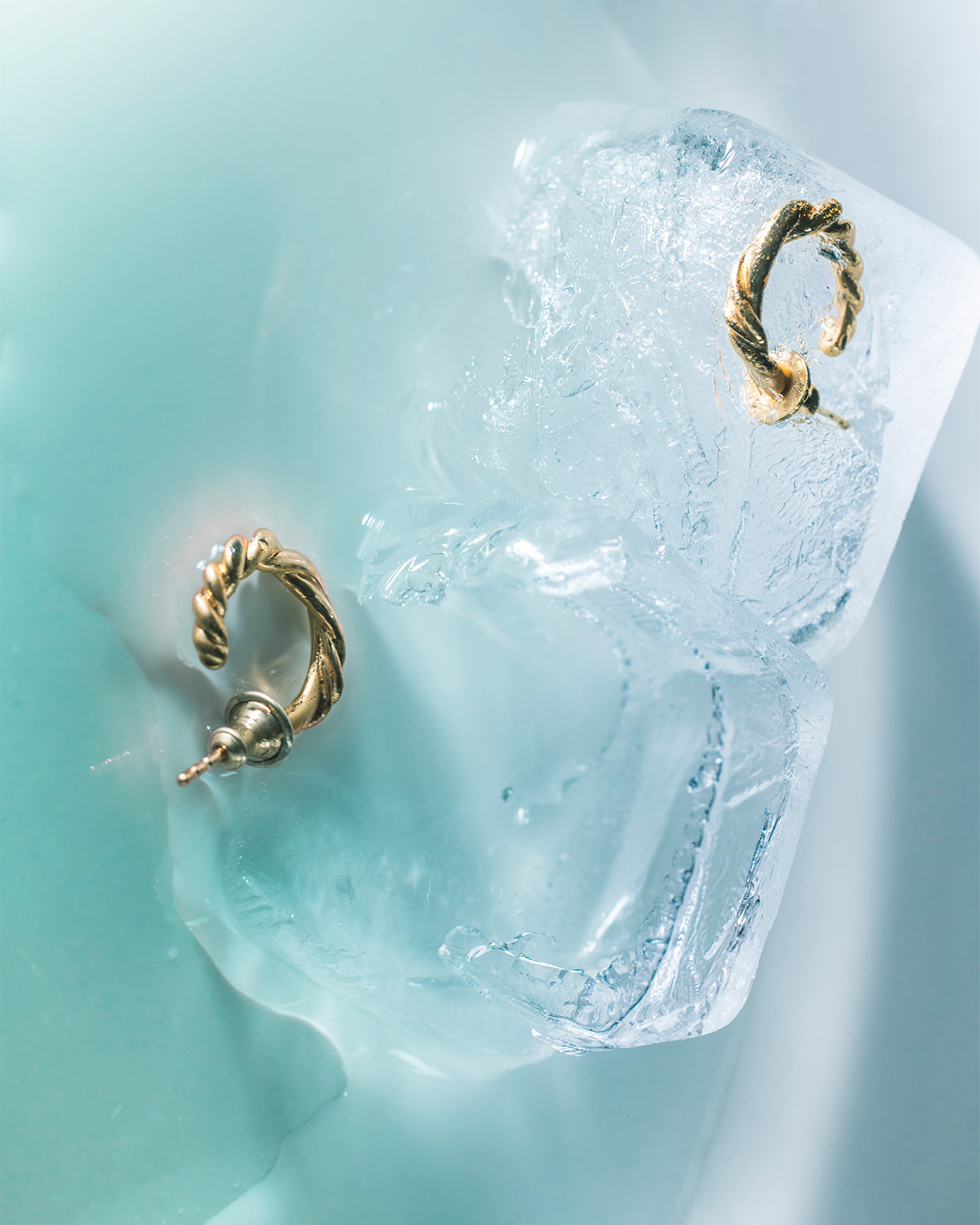 Roots Earrings/Silver | Fauvirame | フォーヴィレイムの公式