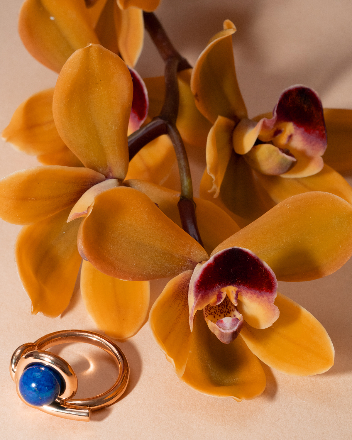 Kinomi Twist Ring - lapis lazuli/Gold | Fauvirame | フォーヴィ