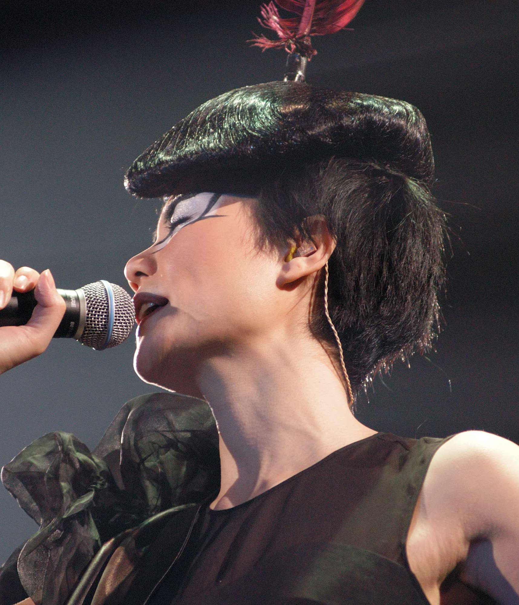 Fayve Concert Photos – 003: Hong Kong 2003A | Faye Wong Today