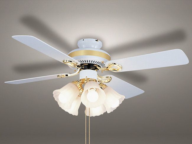 LOWYA シーリングファンライト ニューアイナ・メレ 2 （ホワイト