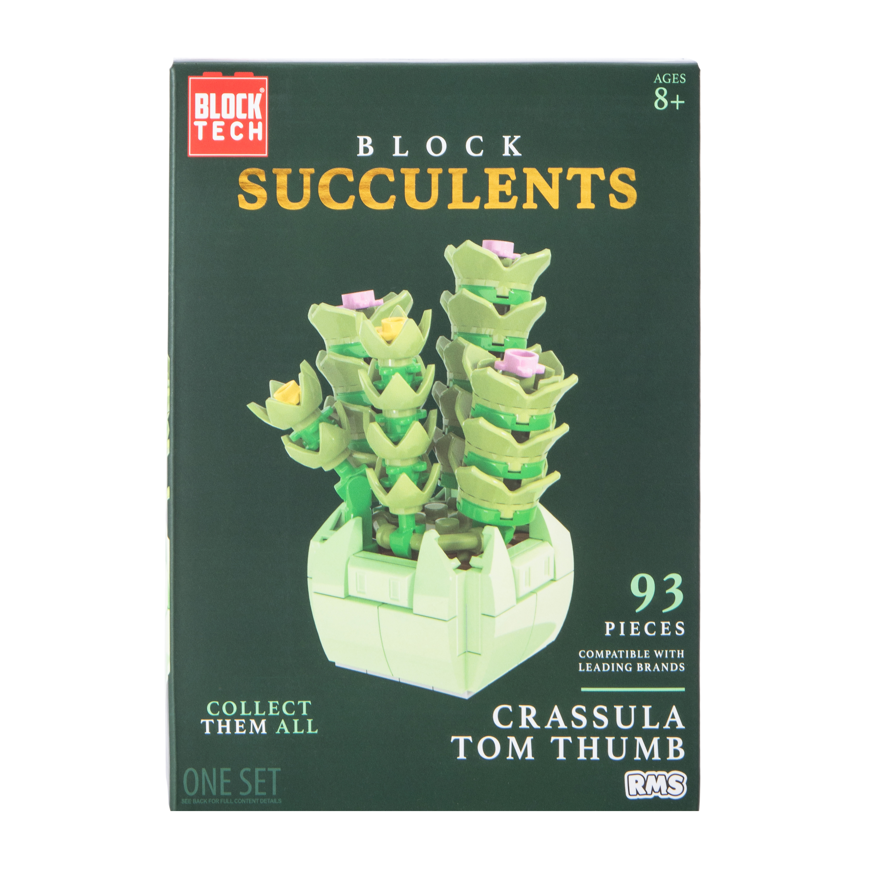 Block Tech® Block Succulents Set | Five Below