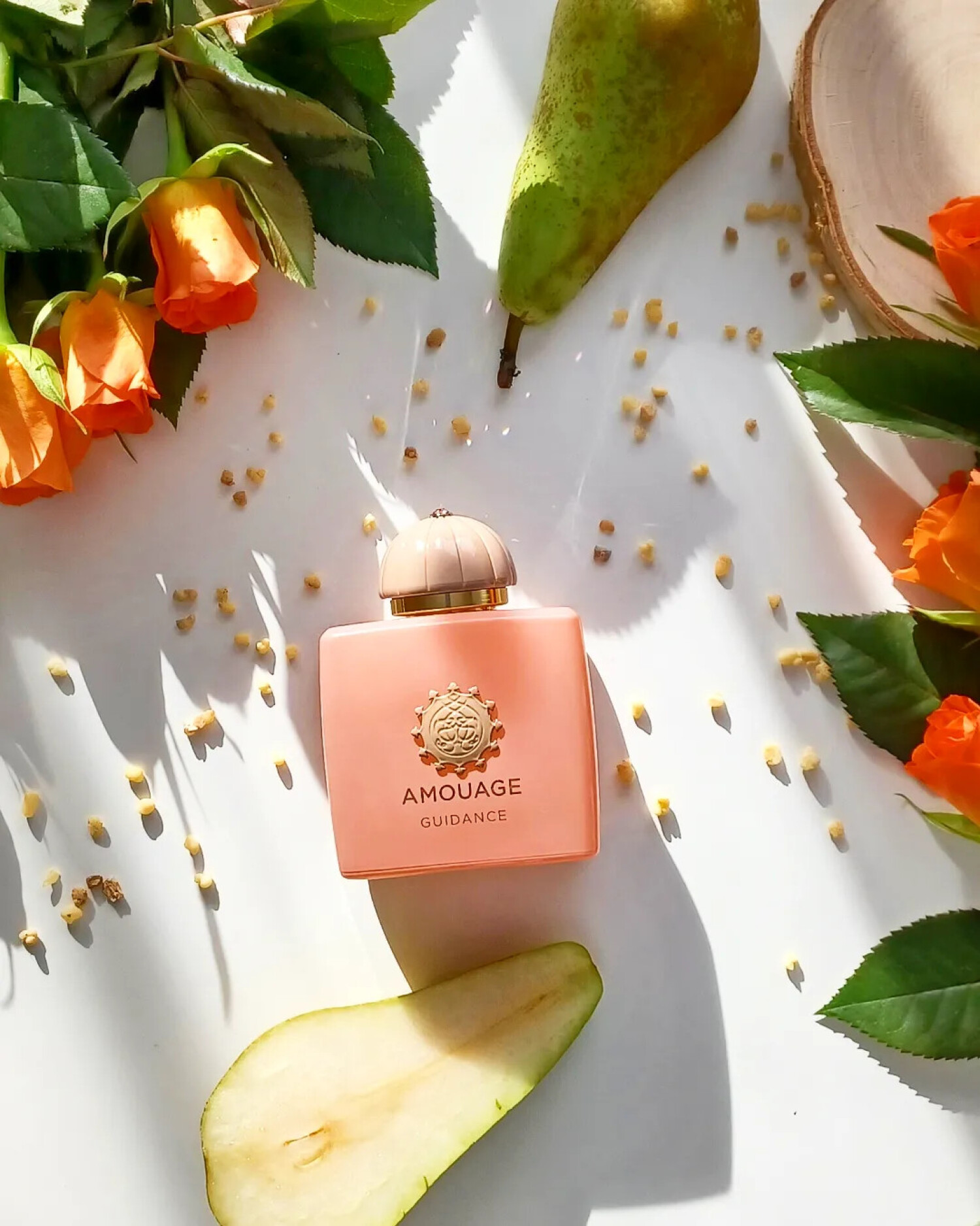 monokeros ~  (196861)