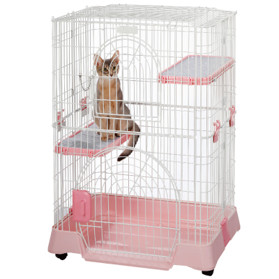 IINA | 株式会社トライム～ペット用品総合卸売商社【TryM-pet.NET】