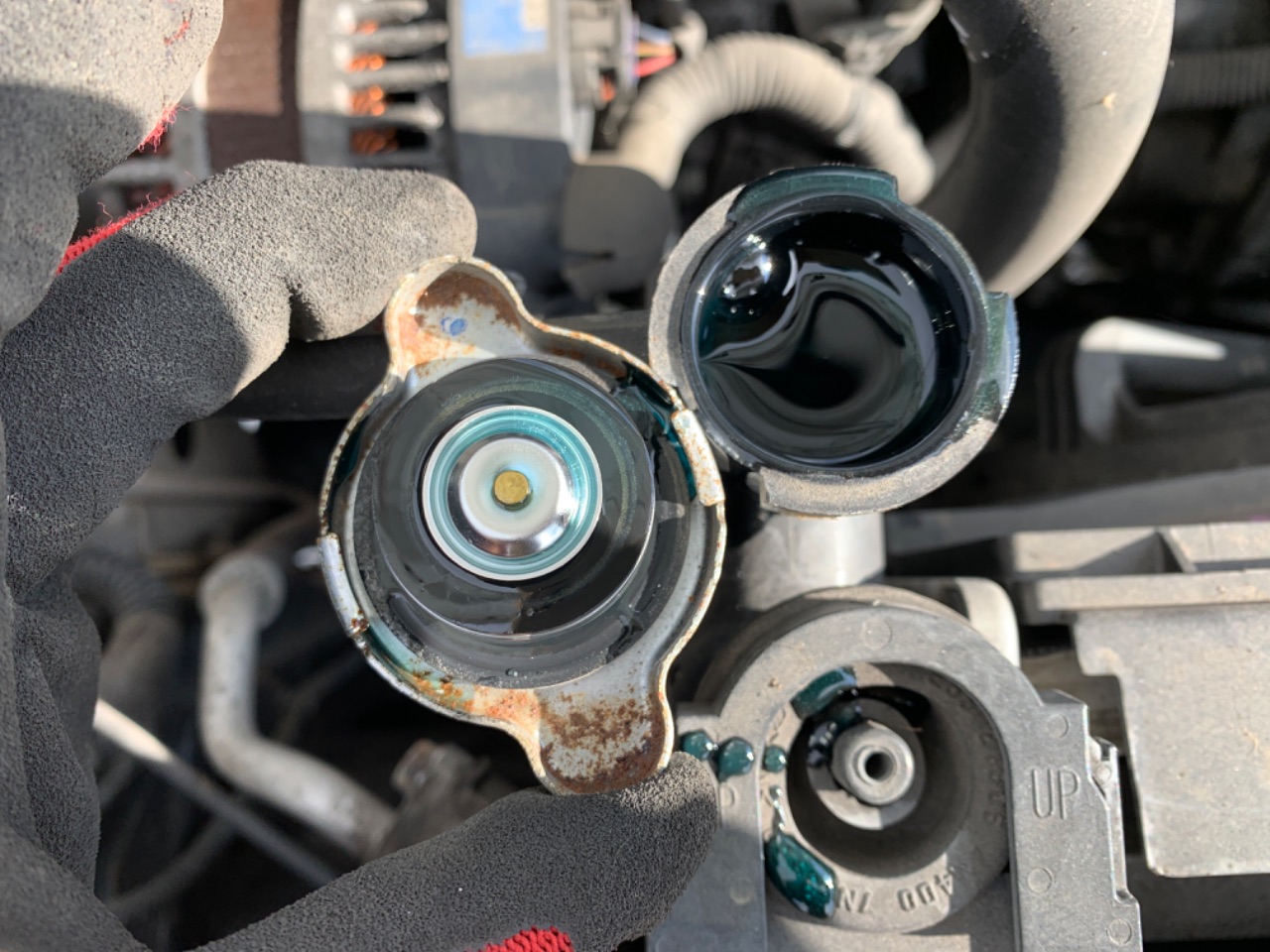 GAPRAS 日産 ラフェスタ - 商品詳細 - BD12359