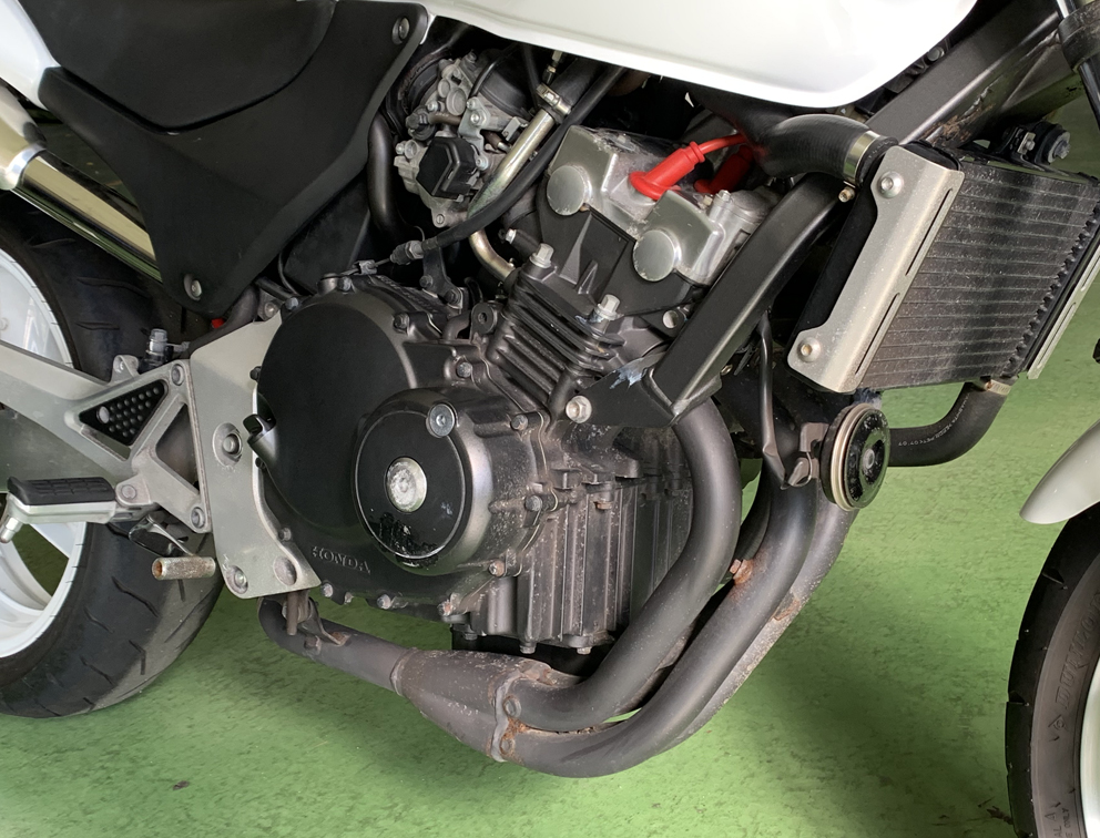 ホーネットというバックシャン【後編】～ トコトコ普段使いまでこなす