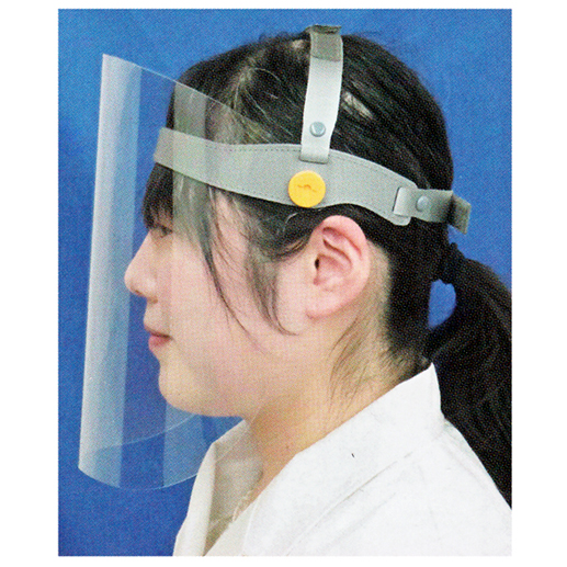 製品詳細「フェイスガード」 | フォルディネット