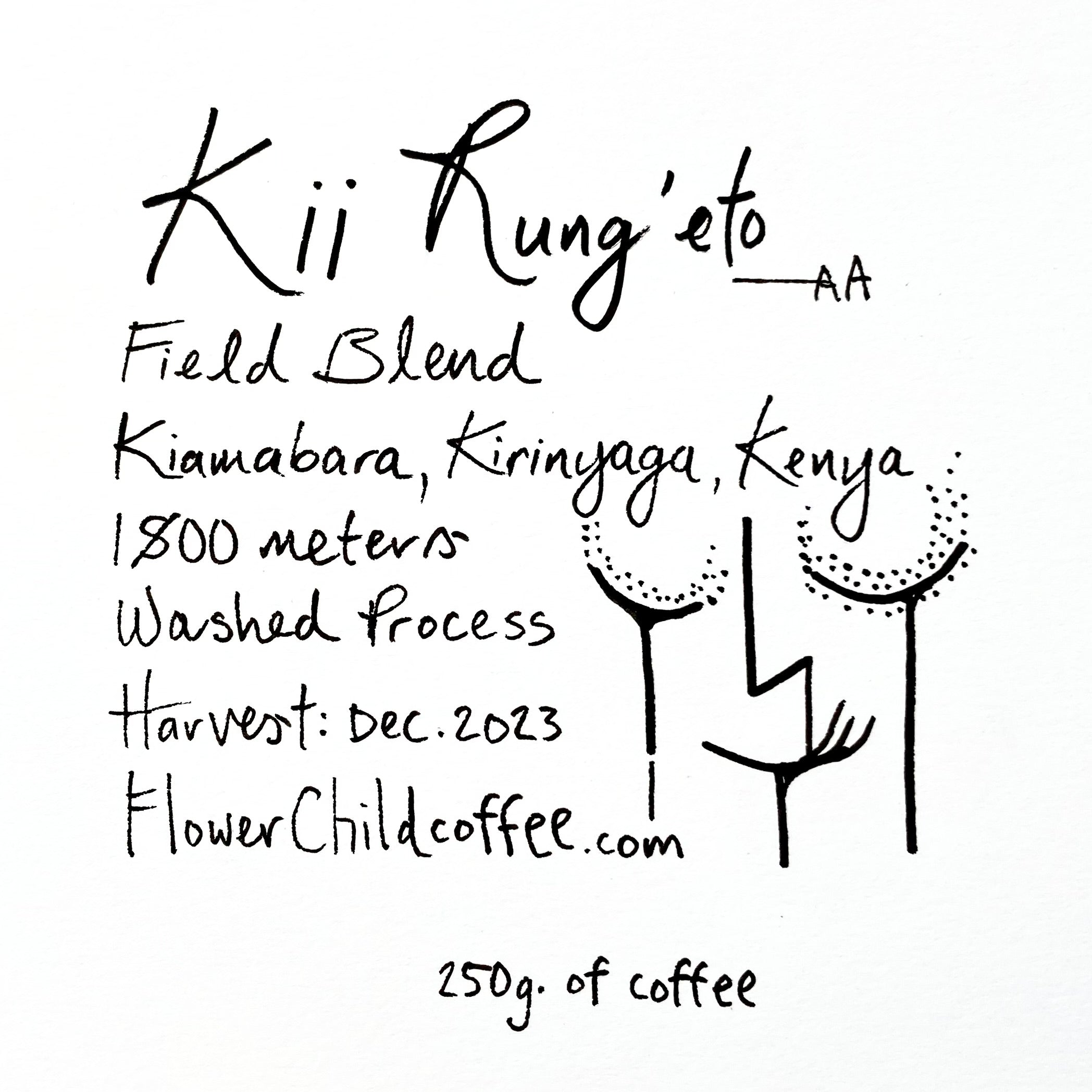 IMG_9111.jpg?v=1730570989&