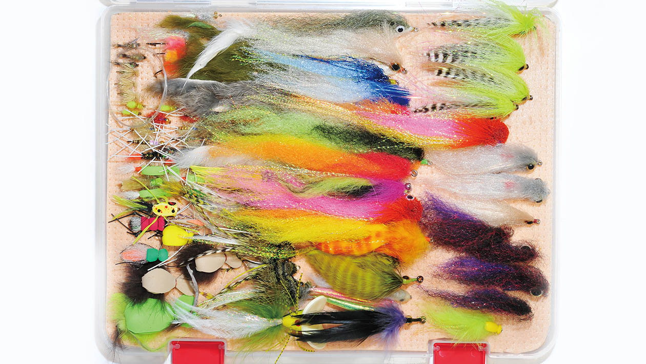 アマゾンに夢を追う。 | ARTICLES | FlyFisher ONLINE フライ