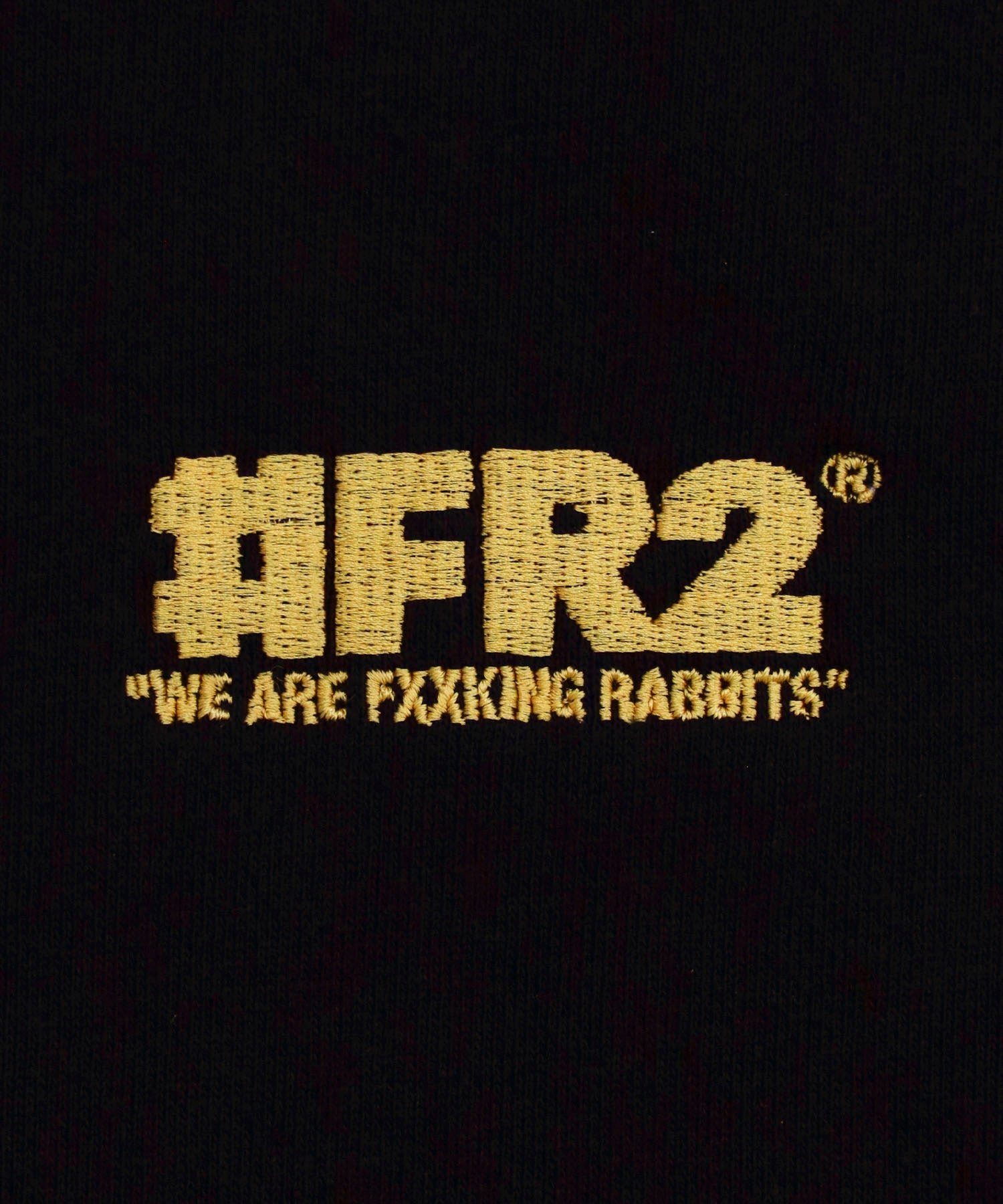 FR2 Big Logo Hoodie[FRC4016]