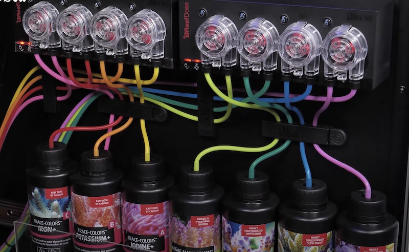 Red Sea ReefDose 4 - Frag Box Corals