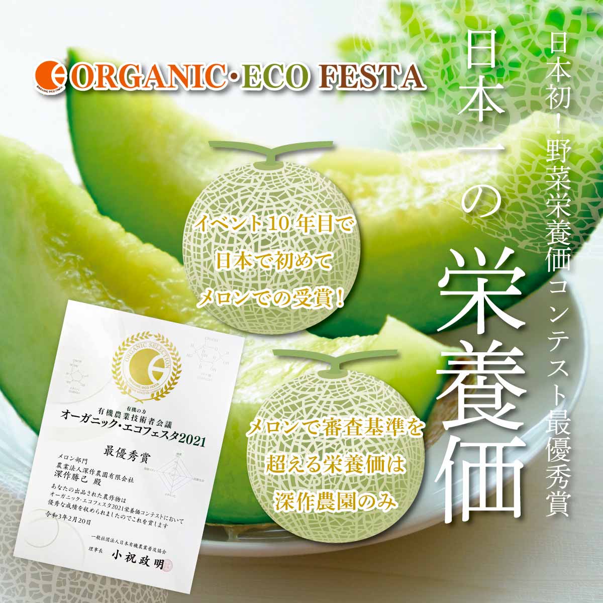 10日以内発送】メロン アールスメロン melon_earls_XL1 特大サイズ1玉