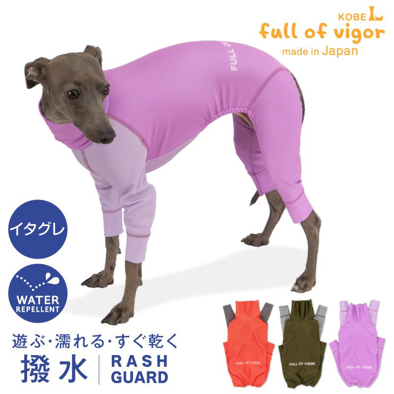 イタグレ用 伸びて 着せやすい ドッグプレイ(R) 配色 撥水 ラッシュ