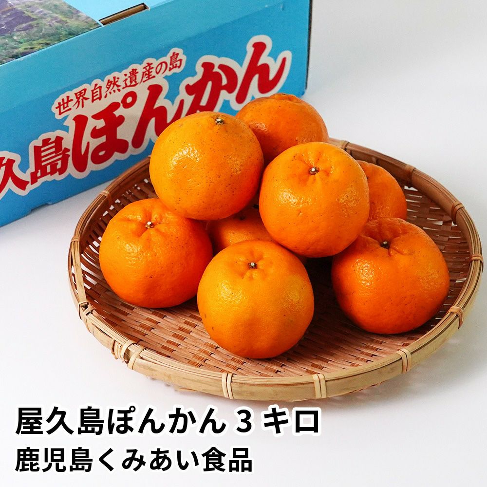 ぽんかんのギフト通販・お取り寄せ | JA鹿児島ふるさと便【公式】