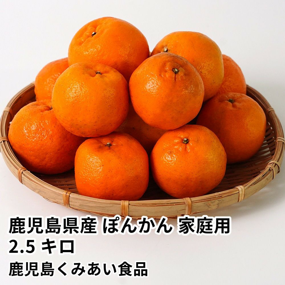 鹿児島県産 ぽんかん 家庭用 2.5キロのギフト通販・お取り寄せ | JA