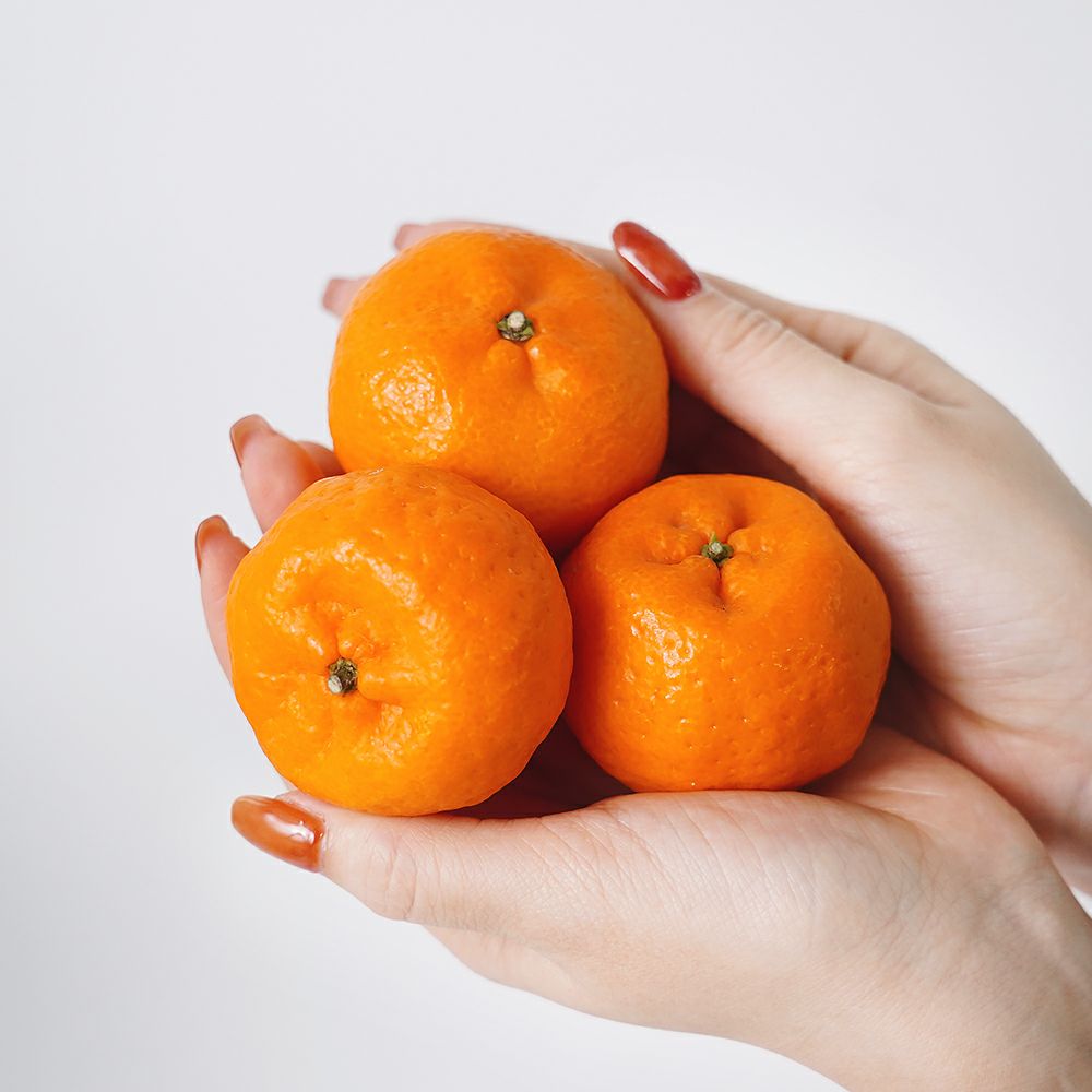 桜島小みかん 家庭用 3キロ 2L～Mサイズのギフト通販・お取り寄せ | JA