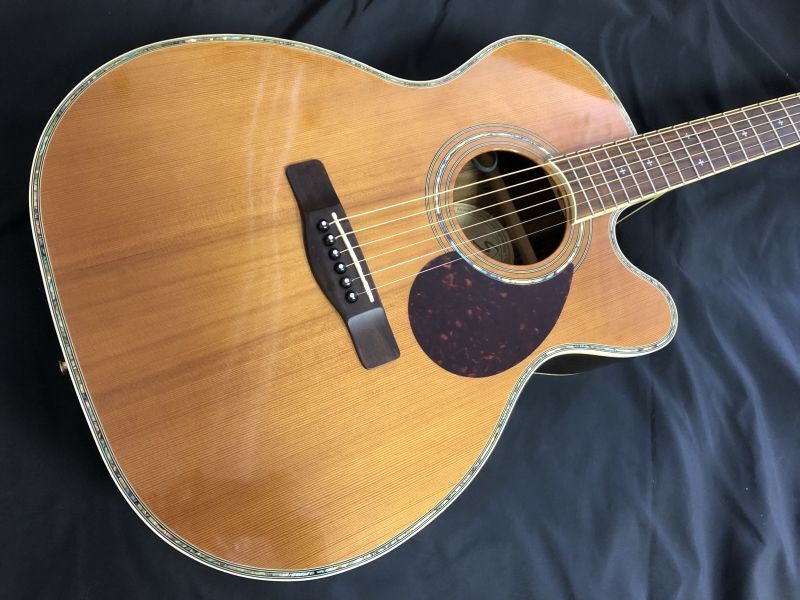 Greg Bennett / OM8CE エレアコ - HR/HMギター専門店 FUTURE WORLD